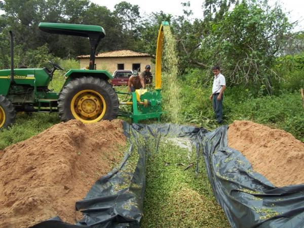 Fomento à produção rural.(Imagem:ASCOM)