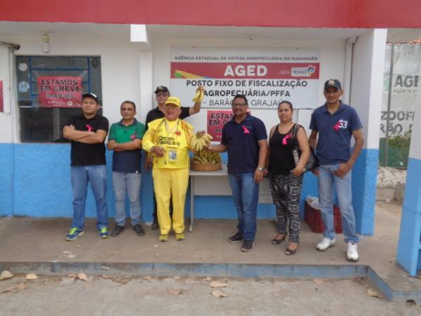 Servidores realizam ato e distribuem bananas em frente à AGED de Barão de Grajaú.(Imagem:FlorianoNews)