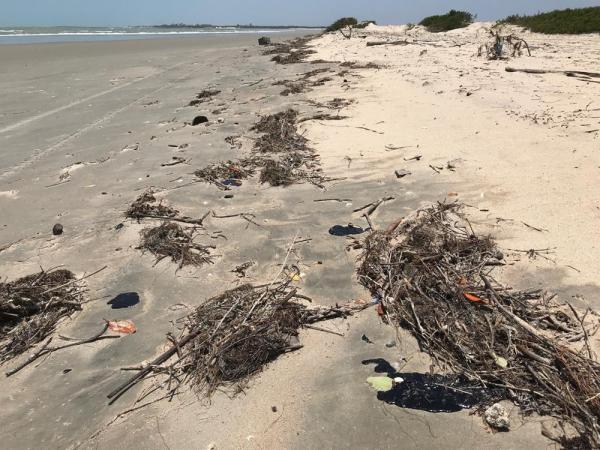 As manchas escuras foram encontradas próximo à área dos bares no litoral do Piauí.(Imagem:Instituto Tartarugas do Delta)