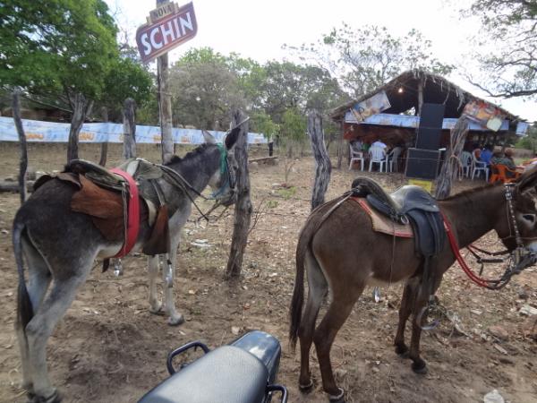 Festa do Vaqueiro   (Imagem:FlorianoNews)