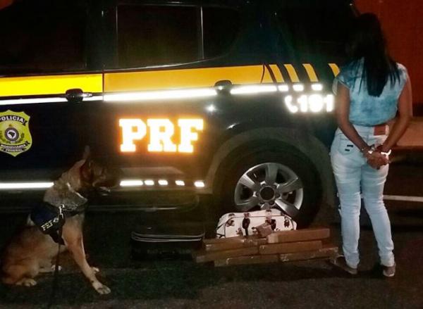 Cão farejador encontra 8kg de maconha com passageira de ônibus.(Imagem:PRF)