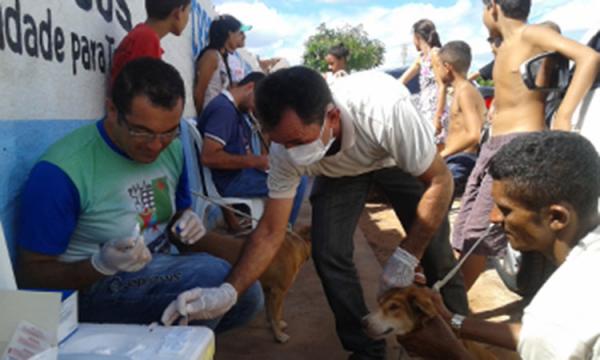 Registrado caso de calazar humano em Picos.(Imagem:Divulgação)