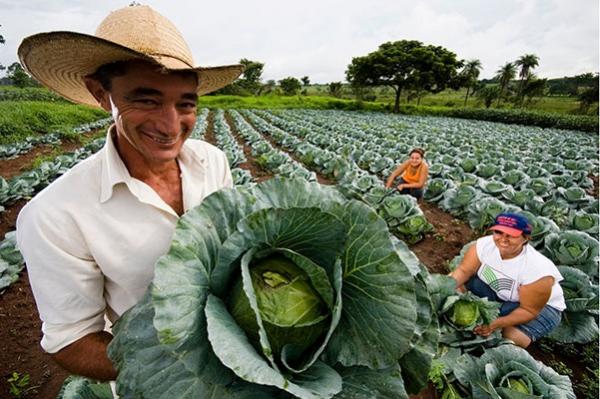 Governo Federal autoriza pagamento do Garantia Safra para 111 municípios do Piauí.(Imagem:Divulgação)