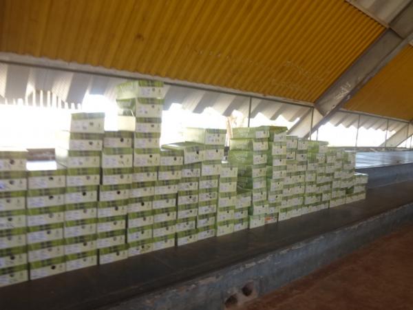 CEIR Móvel realiza entrega de produtos ortopédicos em Floriano.(Imagem:FlorianoNews)