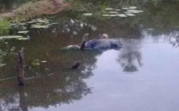 Corpo de homem é encontrado boiando em rio no Piauí.(Imagem:Cidades na Net)
