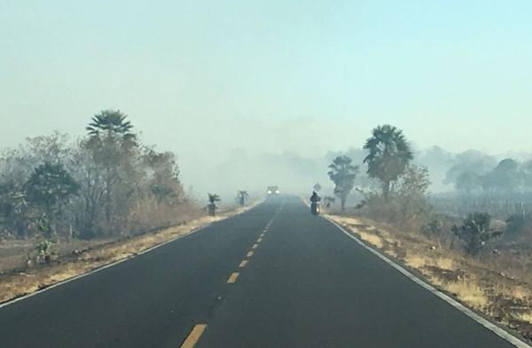 Incêndio consome vegetação às margens da PI-115 e prejudica visibilidade.(Imagem:Reprodução/TV Clube)