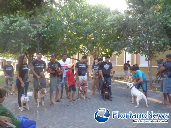 1º Encontro Nacional de Pitbulls é realizado em Floriano.(Imagem:FlorianoNews)