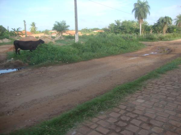 Trecho da Anel Viário sem calçamento(Imagem:Redaçao)