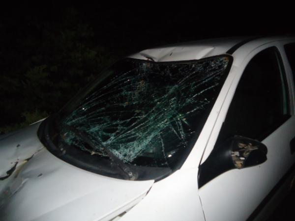 Veículo fica destruído após colisão com animal entre Floriano e Nazaré do Piauí.(Imagem:FlorianoNews)