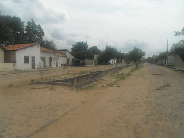 Voluntários realizam plantio de árvores na Avenida Fauzer Bucar.(Imagem:FlorianoNews)