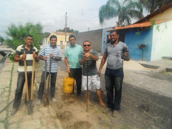 Voluntários realizam plantio de árvores na Avenida Fauzer Bucar.(Imagem:FlorianoNews)
