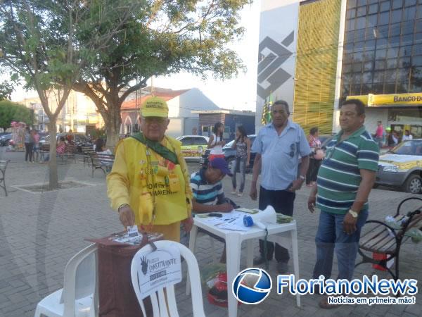 Plebiscito Popular por reforma política foi realizado em Floriano.(Imagem:FlorianoNews)