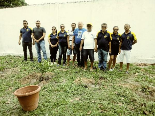 Rotary Clube realiza plantio de mudas de árvores na AABB de Floriano.(Imagem:FlorianoNews)