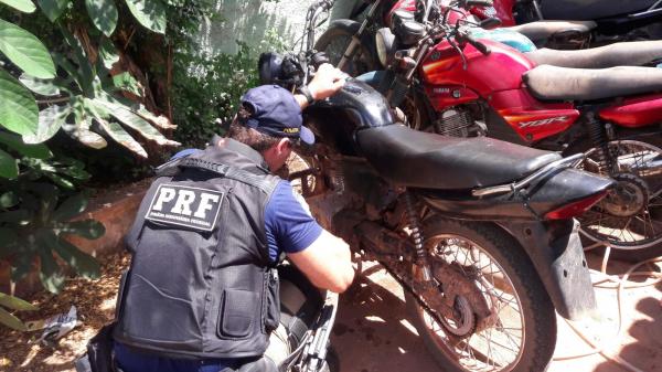 PRF recupera veículo roubado e apreende animais silvestres no sul do Piauí.(Imagem:PRF)
