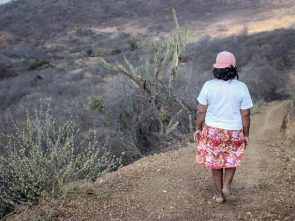 Sertanejos sofrem com estiagem e percorrem longos caminhos em busca de água.(Imagem:Patrícia Andrade/G1)