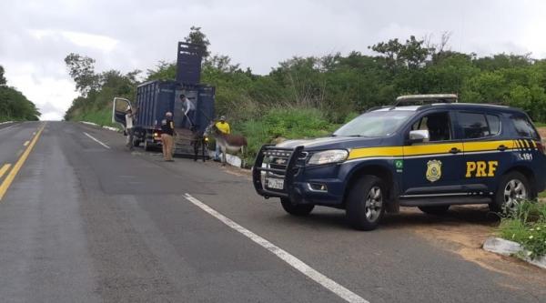 A ação que está ocorrendo no sul do estado faz parte do planejamento da PRF para a Operação Abre Alas que deverá ser desenvolvida na semana que antecede o Carnaval.(Imagem:PRF)