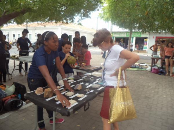 Acadêmicos da UFPI realizam exposição itinerante de Zoologia.(Imagem:FlorianoNews)