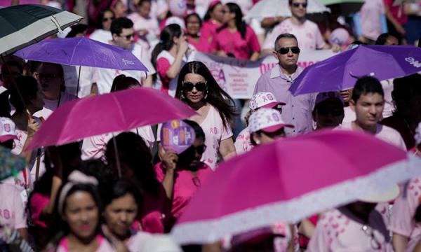 Vice-governadora afirma que Estado deve garantir assistência contra o câncer de mama.(Imagem:Divulgação)