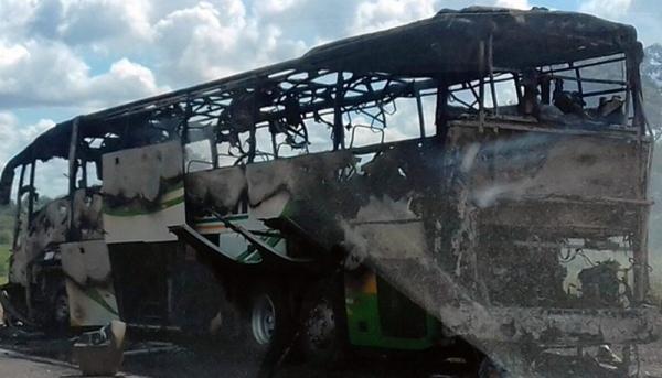 Ônibus foi destruído por incêndio na BR-343, entre Piripiri e Capitão de Campos.(Imagem:Leocádio Santos/Piripiri Repórter)