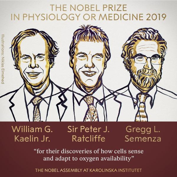 Vencedores do prêmio Nobel de Medicina deste ano: William Kaelin, Sir Peter J. Ratcliffe e Gregg Semenza.(Imagem: Reprodução/Twitter prêmio Nobel)