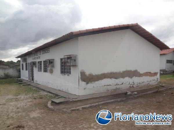 Estrutura do Centro de Controle de Zoonoses de Floriano é precária.(Imagem:FlorianoNews)