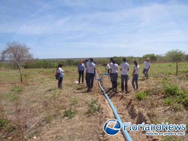 Estudantes instalam sistema de irrigação de pasto rotativo em Floriano.(Imagem:FlorianoNews)