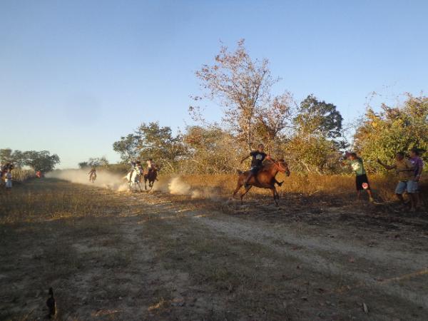 Festa dos vaqueiros é comemorada com corrida de cavalos localidade Manga.(Imagem:FlorianoNews)