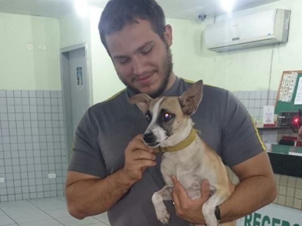 Cadela será levada para um abrigo para animais em Teresina.(Imagem: Juliana Paz/Arquivo pessoal)