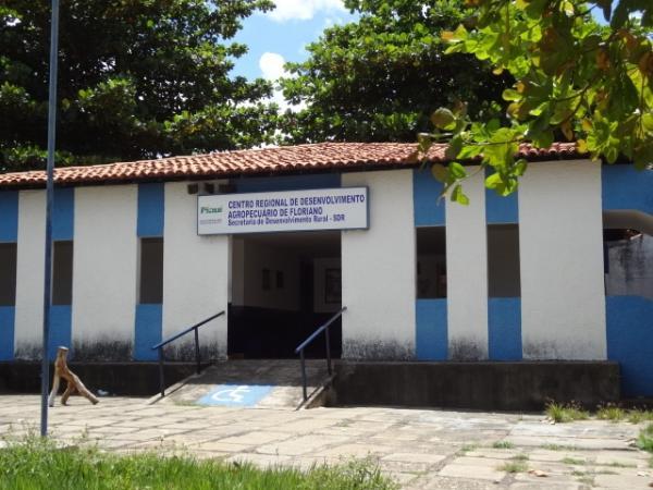 Com fim da greve, ADAPI volta a fazer certificação de vacinação em Floriano.(Imagem:FlorianoNews)