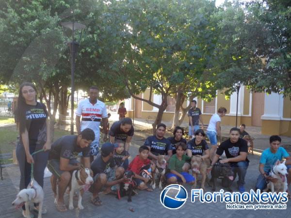 1º Encontro Nacional de Pitbulls é realizado em Floriano.(Imagem:FlorianoNews)