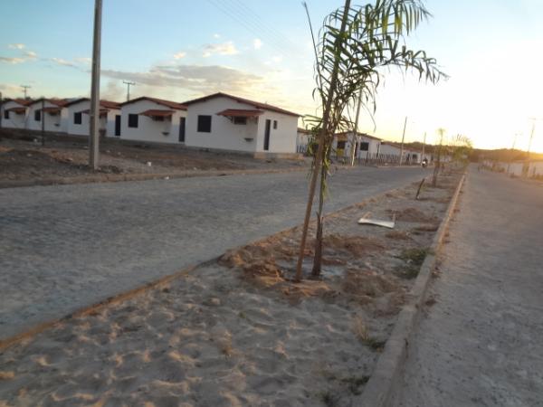 Dia do Meio Ambiente é marcado por plantio de mudas em Floriano.(Imagem:FlorianoNews)