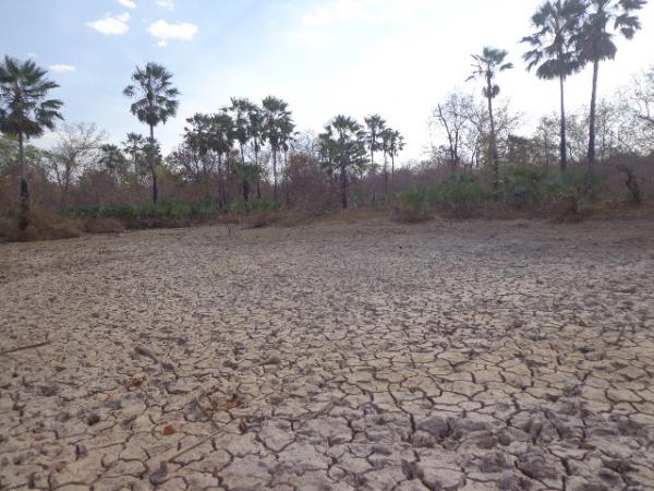 Comunidade Amolar sofre escassez no abastecimento de água.(Imagem:FlorianoNews)