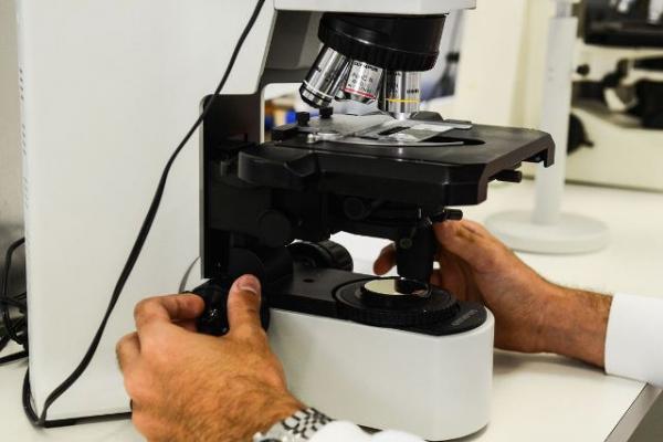 Terapia com uso de metal raro será testada clinicamente.(Imagem:Rovena Rosa/Agência Brasil)