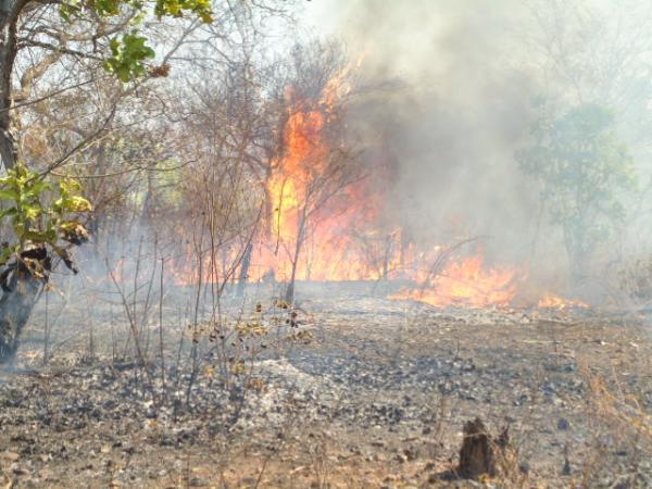 Corpo de Bombeiros registra mais de 30 focos de incêndio no último mês em Floriano(Imagem:FlorianoNews)