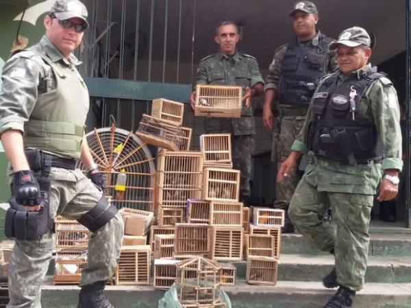 Animais são resgatados durante operação em Teresina.(Imagem:Divulgação/PM)