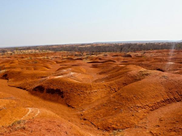 Vo&ccedil;orocas atigem &aacute;reas em 15 cidades do Piau&iacute;.(Imagem:Pedro Santiago/G1)