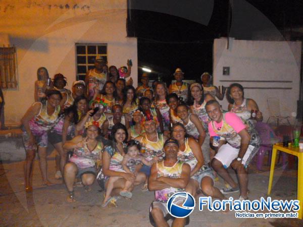 Bloco Galefolia anima o carnaval no bairro São Cristóvão(Imagem:FlorianoNews)