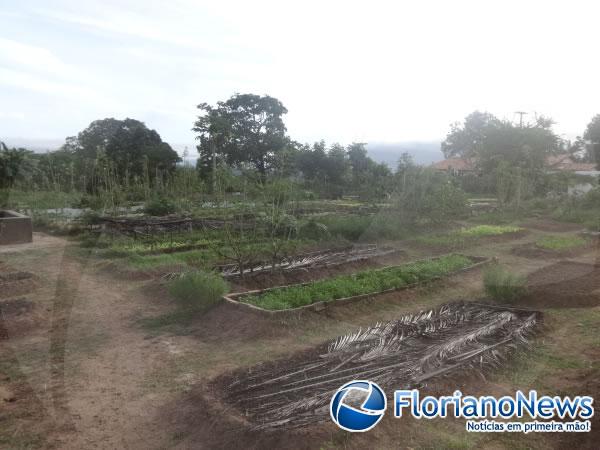 Horticultores cobram providências para o problema da bomba na horta do bairro Alto da Cruz.(Imagem:FlorianoNews)