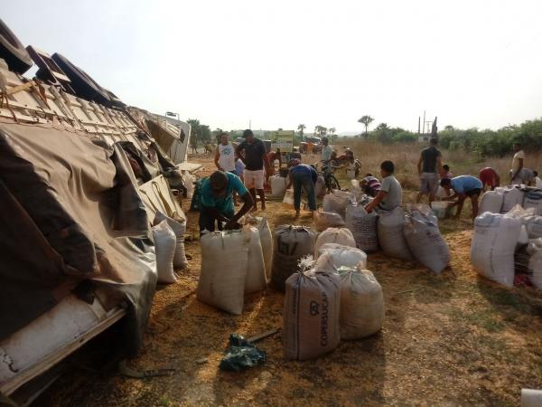 Carreta carregada de milho tomba e carga é saqueada na localidade Paracaty(Imagem:FlorianoNews)