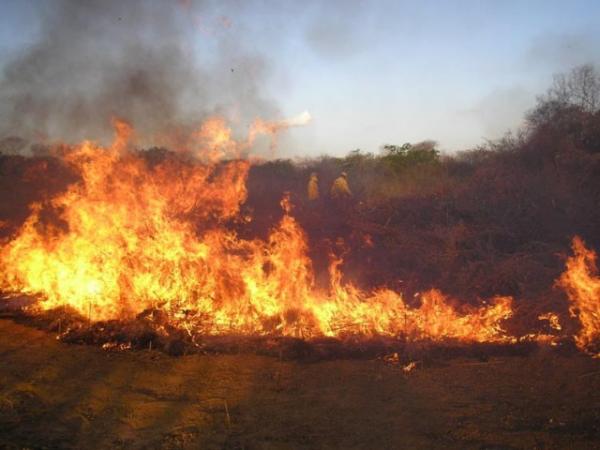 Semar registra 3670 focos de calor na Região Sul do Piauí.(Imagem:Semar)