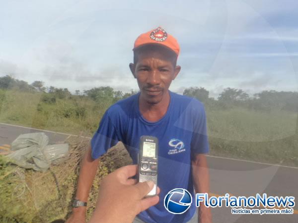 Florianenses mantém tradição de colher Alecrim na Sexta-feira Santa.(Imagem:FlorianoNews)