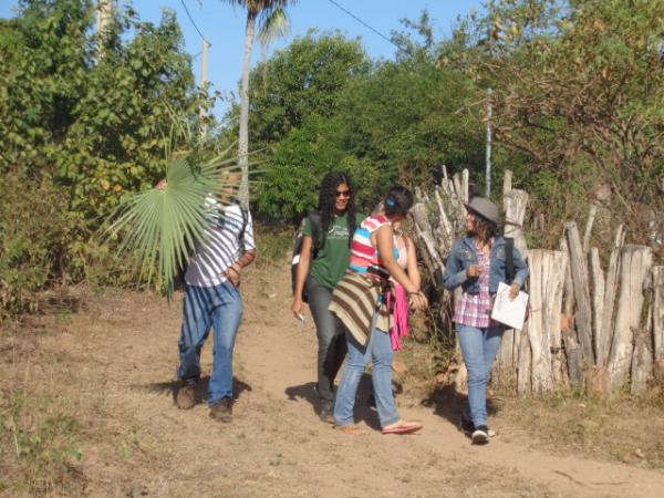 Acadêmicos estudam relação entre plantas e moradores de localidade rural.(Imagem:FlorianoNews)