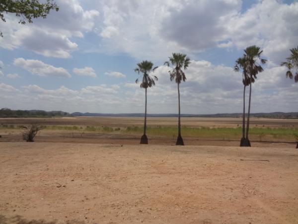 Lagoa de Nazaré do Piauí secou completamente devido à estiagem.(Imagem:FlorianoNews)