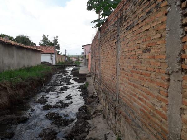 Equipes atuam na desobstrução das margens do Riacho do Leite em Floriano(Imagem:Secom)