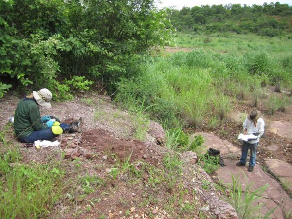 Pesquisadores encontram fósseis mais antigos que dinossauros no Piauí e Maranhão.(Imagem:Divulgação)