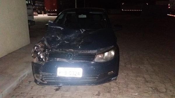 Animal na estrada provoca acidente de trânsito na Rodovia BR-230.(Imagem:Divulgação)