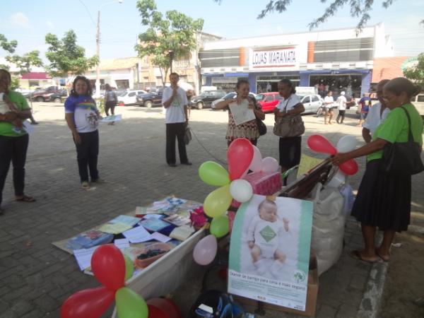 Pastoral da Criança comemora o Dia do Voluntariado em Floriano.(Imagem:FlorianoNews)
