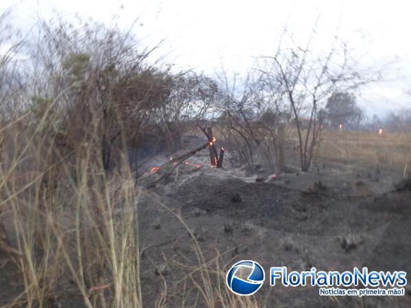 Corpo de Bombeiros é chamado para combate a incêndio.(Imagem:FlorianoNews)