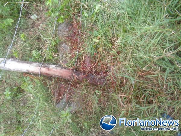 Colisão entre moto e carro deixa uma vítima fatal em Floriano.(Imagem:FlorianoNews)