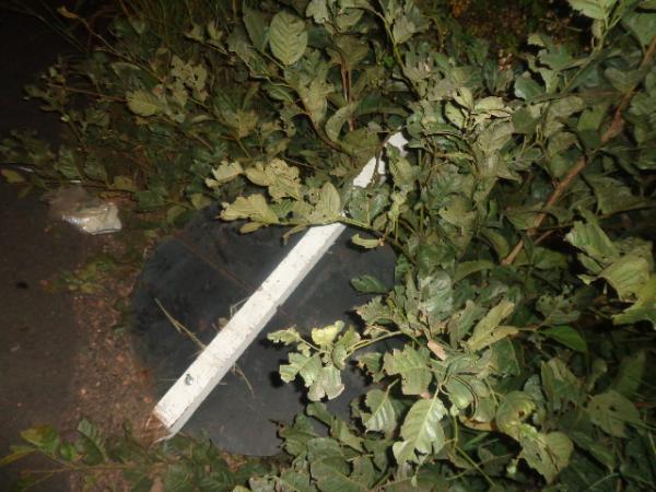 Encontrado corpo de Chico Lista, que estava desaparecido desde o último sábado.(Imagem:FlorianoNews)